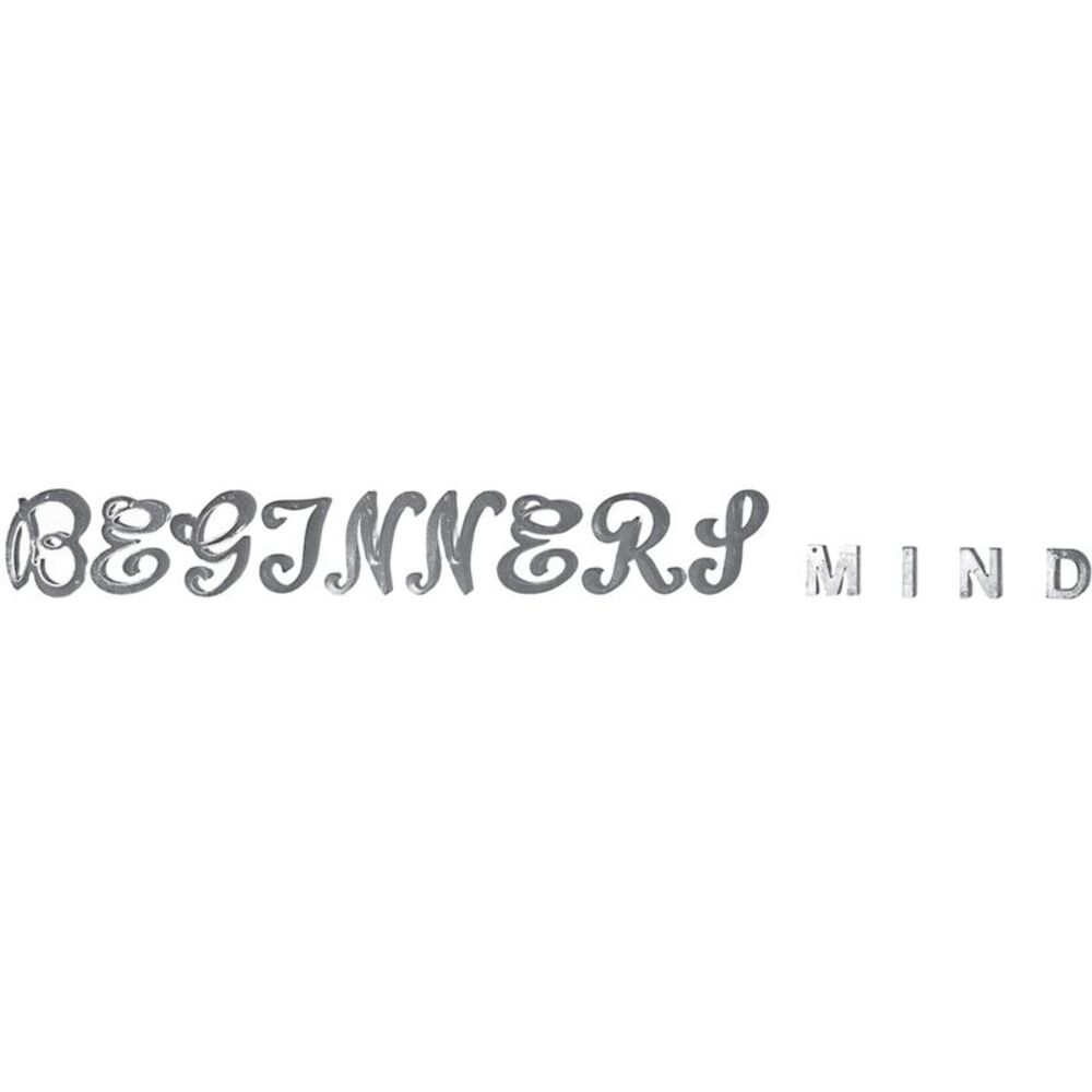 Herbert Henck - Zimmermann: Beginner's Mind  LP LP